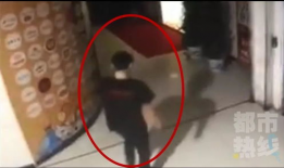 偷拍厕所视频,偷拍厕所视频引发的伦理争议